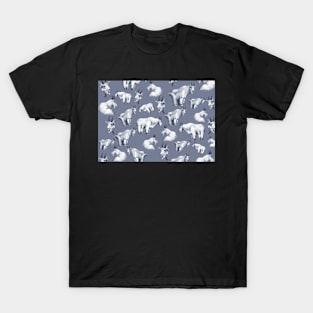 Copy of Bohemian Waxwings - card T-Shirt